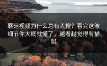 蘑菇视频为什么总有人搜？看完这波细节你大概就懂了，越看越觉得有猫腻