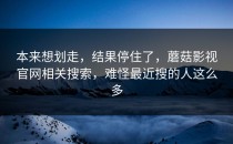 本来想划走，结果停住了，蘑菇影视官网相关搜索，难怪最近搜的人这么多