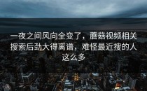 一夜之间风向全变了，蘑菇视频相关搜索后劲大得离谱，难怪最近搜的人这么多