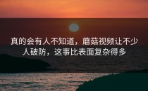 真的会有人不知道，蘑菇视频让不少人破防，这事比表面复杂得多