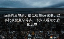 我是真没想到，蘑菇视频ios这事，这事比表面复杂得多，不少人看完才后知后觉