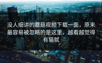 没人细讲的蘑菇视频下载一面，原来最容易被忽略的是这里，越看越觉得有猫腻