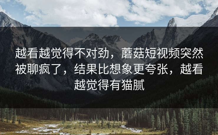 越看越觉得不对劲，蘑菇短视频突然被聊疯了，结果比想象更夸张，越看越觉得有猫腻  第1张