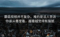 蘑菇视频并不复杂，难的是没人告诉你该从哪里看，越看越觉得有猫腻