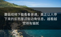 蘑菇视频下载看着普通，真正让人停下来的反而是这些边角信息，越看越觉得有猫腻