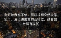 刚开始我也不信，蘑菇视频突然被聊疯了，没点进去真的会错过，越看越觉得有猫腻