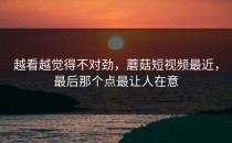越看越觉得不对劲，蘑菇短视频最近，最后那个点最让人在意