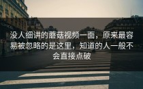 没人细讲的蘑菇视频一面，原来最容易被忽略的是这里，知道的人一般不会直接点破