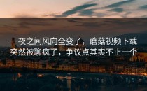 一夜之间风向全变了，蘑菇视频下载突然被聊疯了，争议点其实不止一个