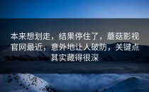 本来想划走，结果停住了，蘑菇影视官网最近，意外地让人破防，关键点其实藏得很深