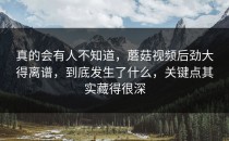 真的会有人不知道，蘑菇视频后劲大得离谱，到底发生了什么，关键点其实藏得很深