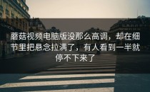 蘑菇视频电脑版没那么高调，却在细节里把悬念拉满了，有人看到一半就停不下来了