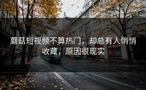 蘑菇短视频不算热门，却总有人悄悄收藏，原因很现实