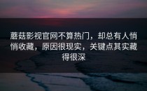 蘑菇影视官网不算热门，却总有人悄悄收藏，原因很现实，关键点其实藏得很深