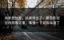 本来想划走，结果停住了，蘑菇影视在线观看这事，事情一下就有味道了