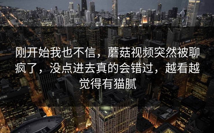 刚开始我也不信，蘑菇视频突然被聊疯了，没点进去真的会错过，越看越觉得有猫腻  第1张