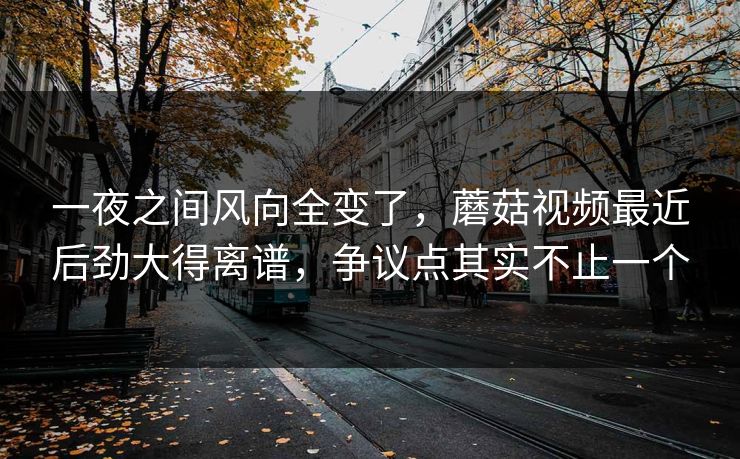 一夜之间风向全变了，蘑菇视频最近后劲大得离谱，争议点其实不止一个  第1张