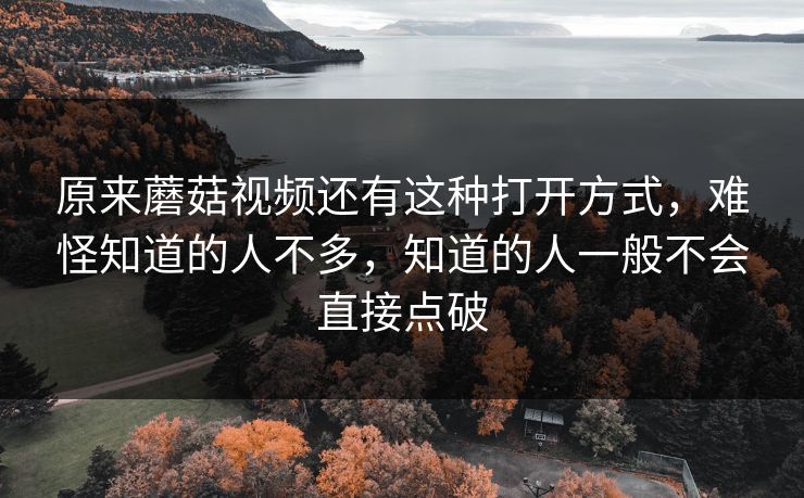 原来蘑菇视频还有这种打开方式，难怪知道的人不多，知道的人一般不会直接点破  第1张