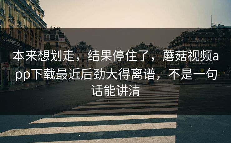 本来想划走，结果停住了，蘑菇视频app下载最近后劲大得离谱，不是一句话能讲清  第1张
