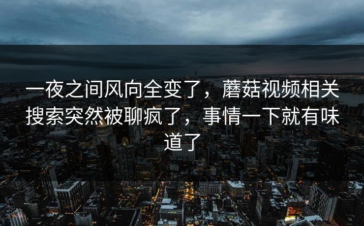 一夜之间风向全变了，蘑菇视频相关搜索突然被聊疯了，事情一下就有味道了  第1张