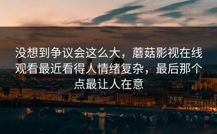 没想到争议会这么大，蘑菇影视在线观看最近看得人情绪复杂，最后那个点最让人在意
